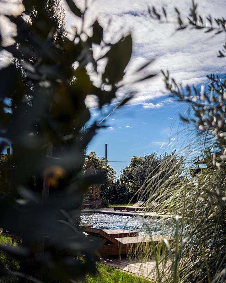 Villa Santa Lucia Maccarese - Residenza Agricola Exterior foto